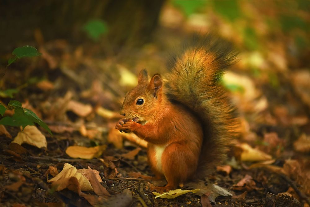 Photograph by Виктория Кос