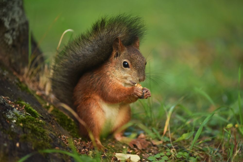 Photograph by Виктория Кос