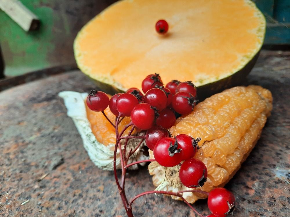 Photograph by Елена Симонова