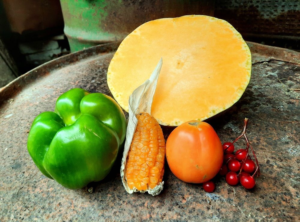 Photograph by Елена Симонова