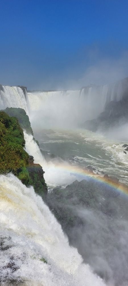 Photo #9834905