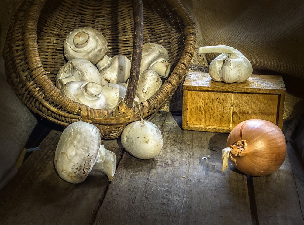 Фотография автора Milena Ivanova