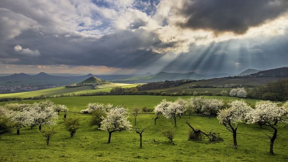 Photograph by Jiří Hakauf