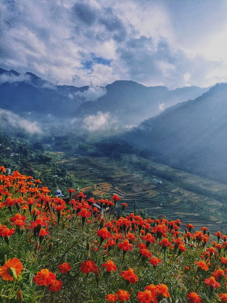 Photograph by Sarkim Timung