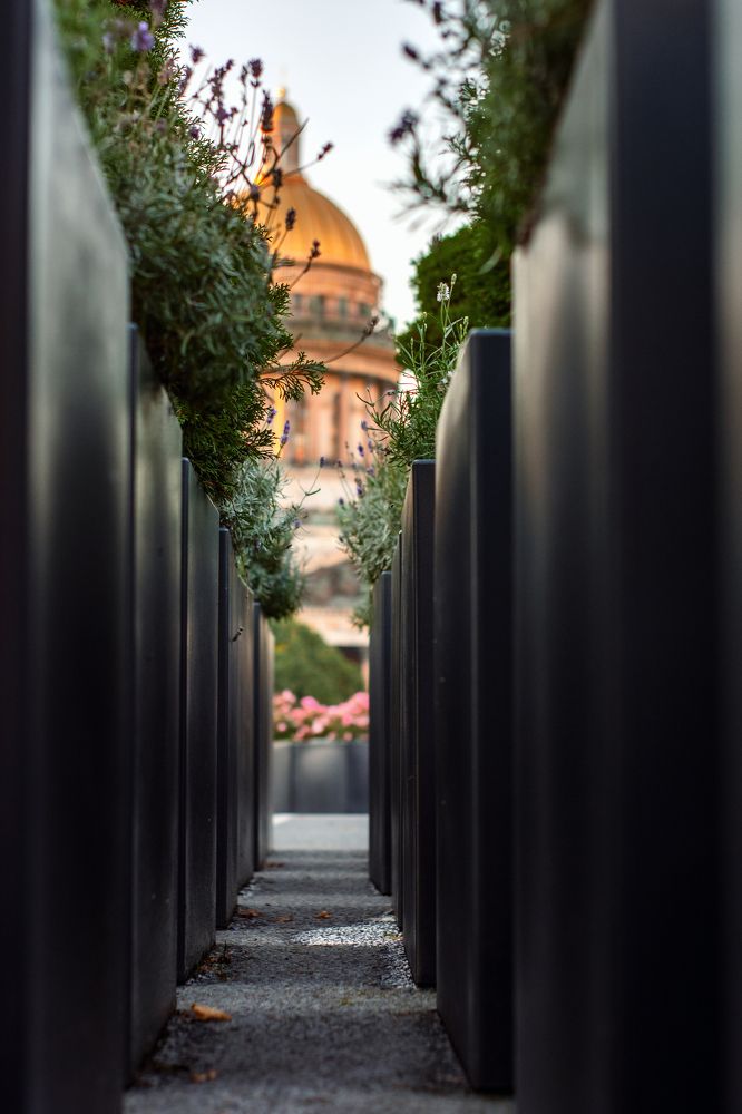 Photograph by олеся