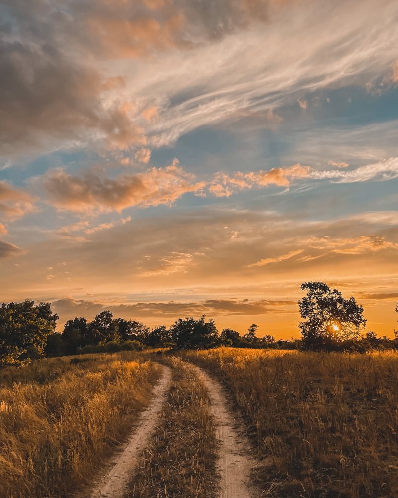 Photograph by Артём Дручинин