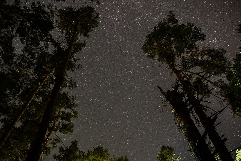 Photograph by Михаил Володин