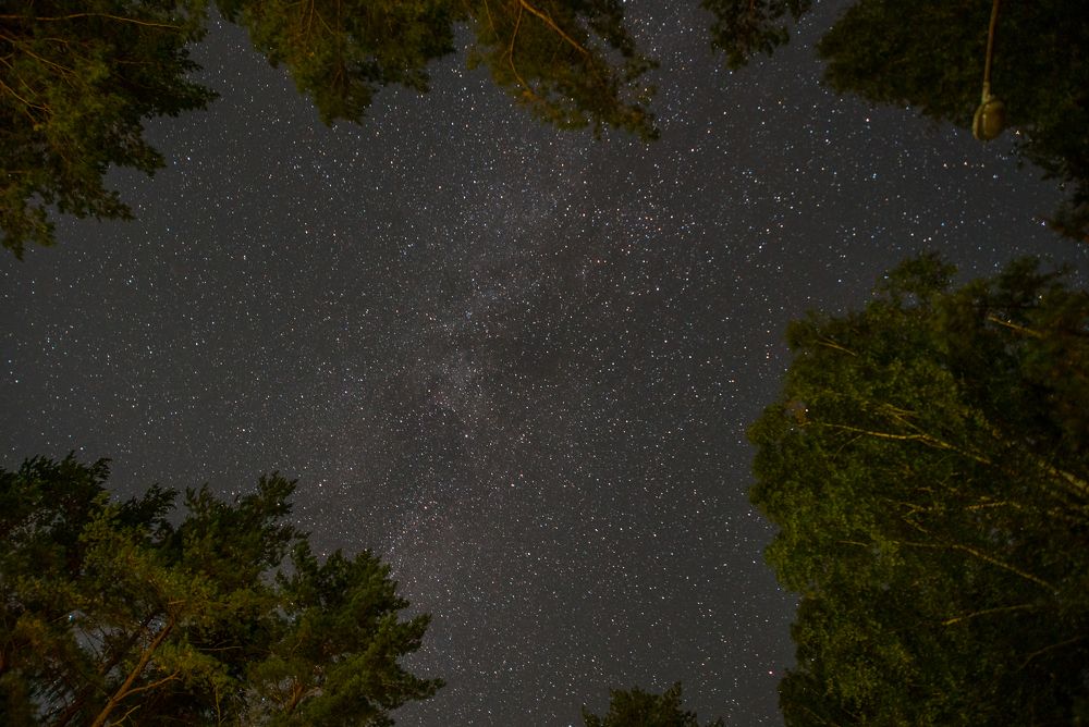 Photograph by Михаил Володин