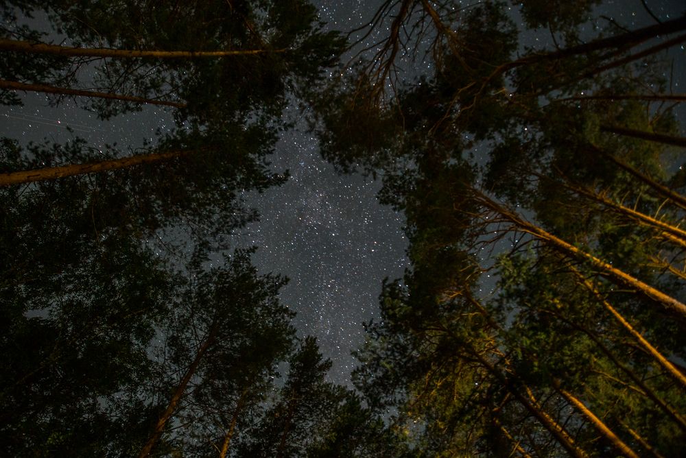 Photograph by Михаил Володин