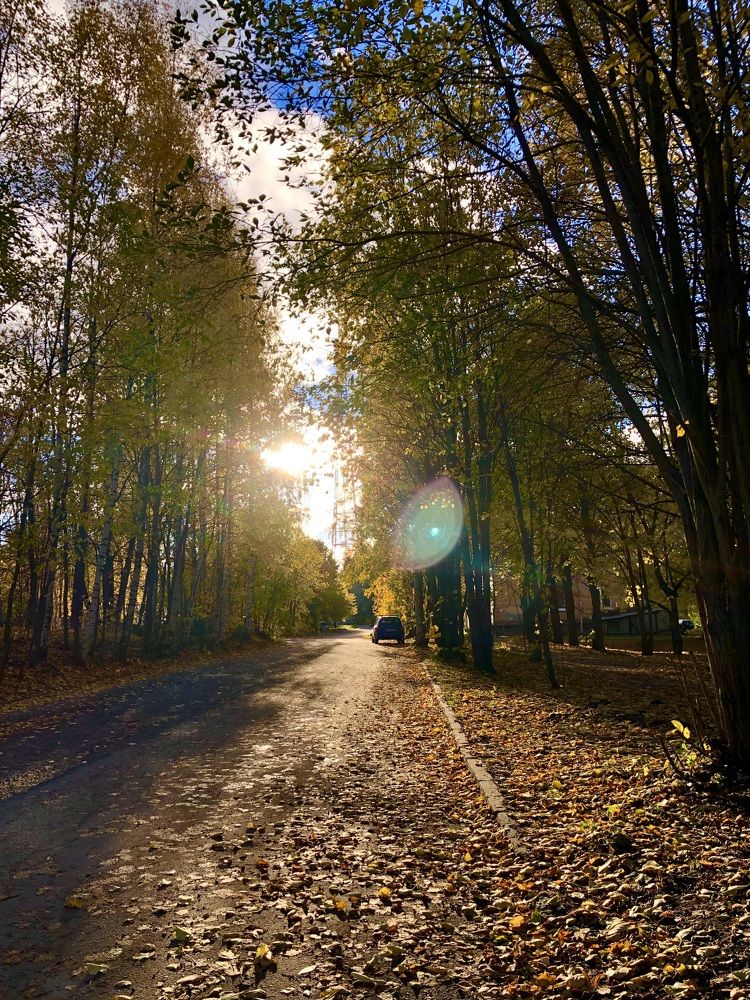 Photograph by Олеся Семёнова