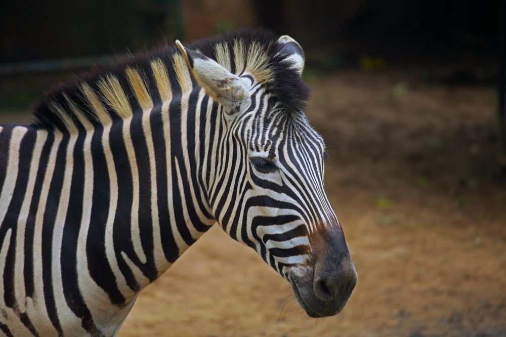 Photograph by Алексей Амилющенко