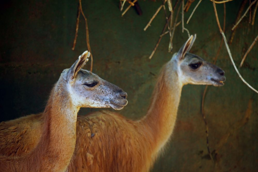 Photograph by Алексей Амилющенко