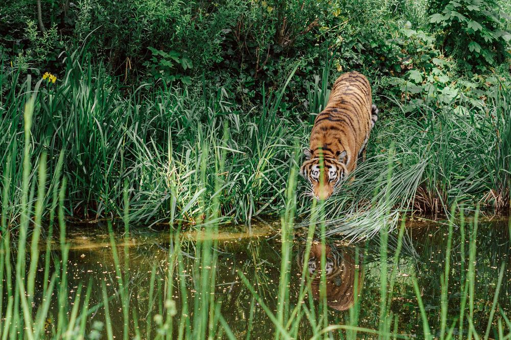 Photograph by Евгений Мериакре