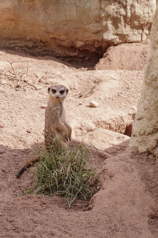 Photograph by Евгений Мериакре