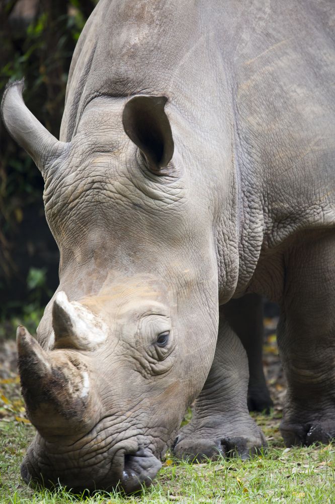 Photograph by HOANG MINH