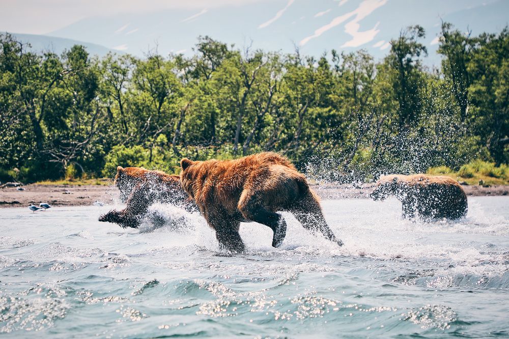 Фотография автора Evgeny Gorbunov