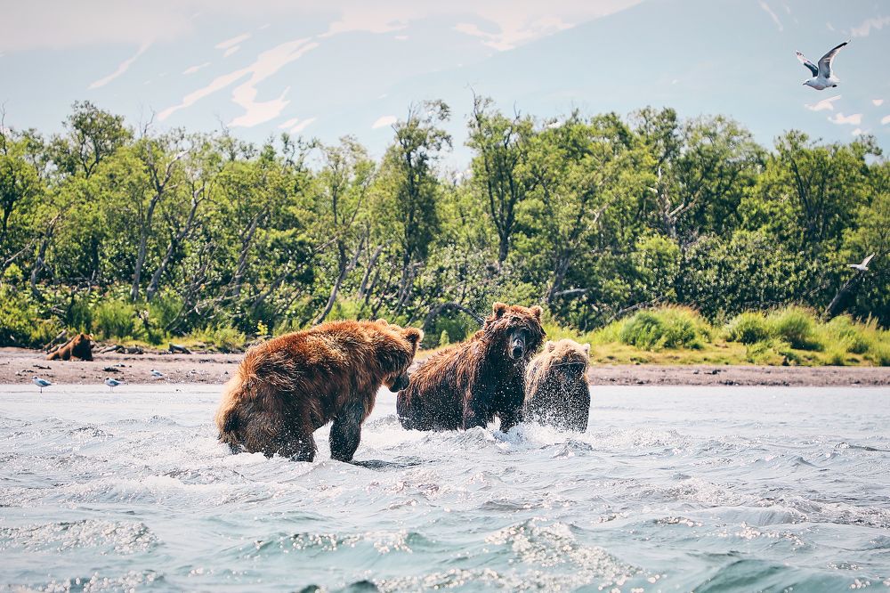 Фотография автора Evgeny Gorbunov