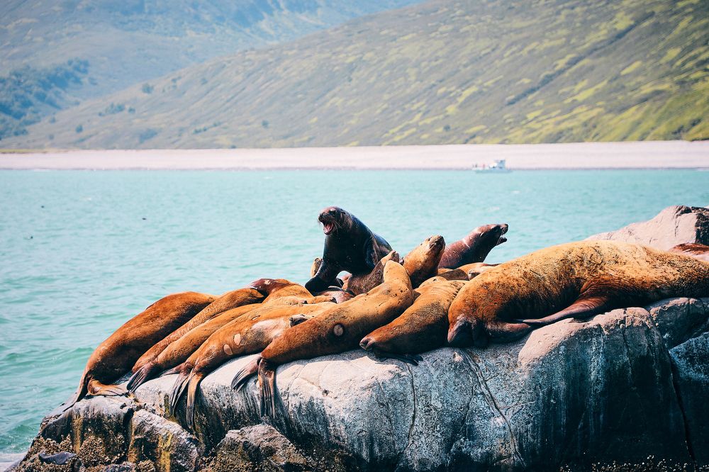 Фотография автора Evgeny Gorbunov