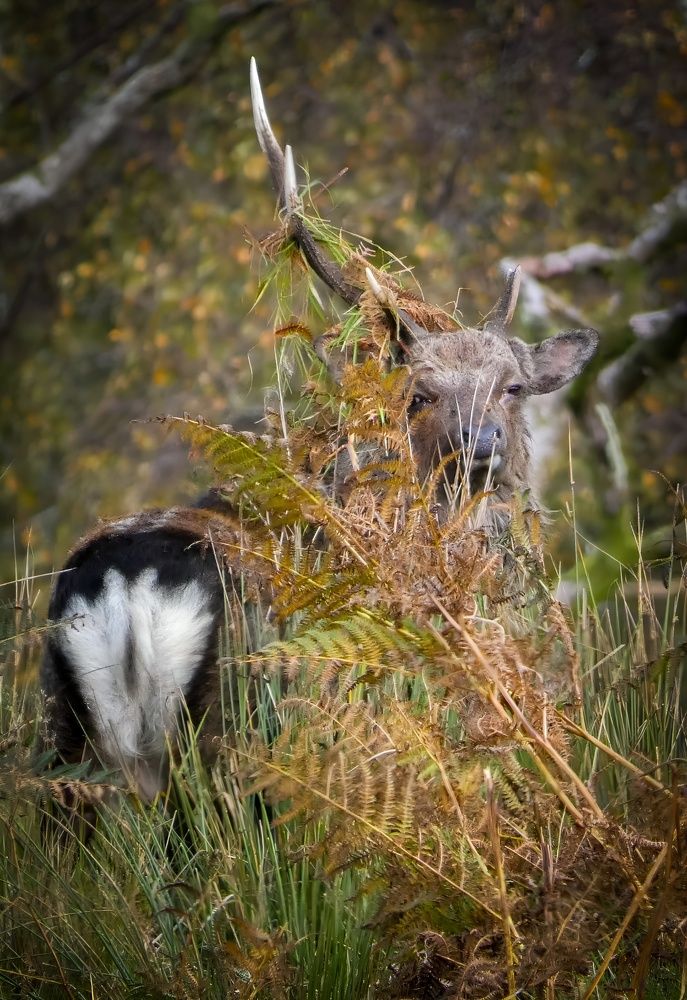 Photograph by Michael Gault
