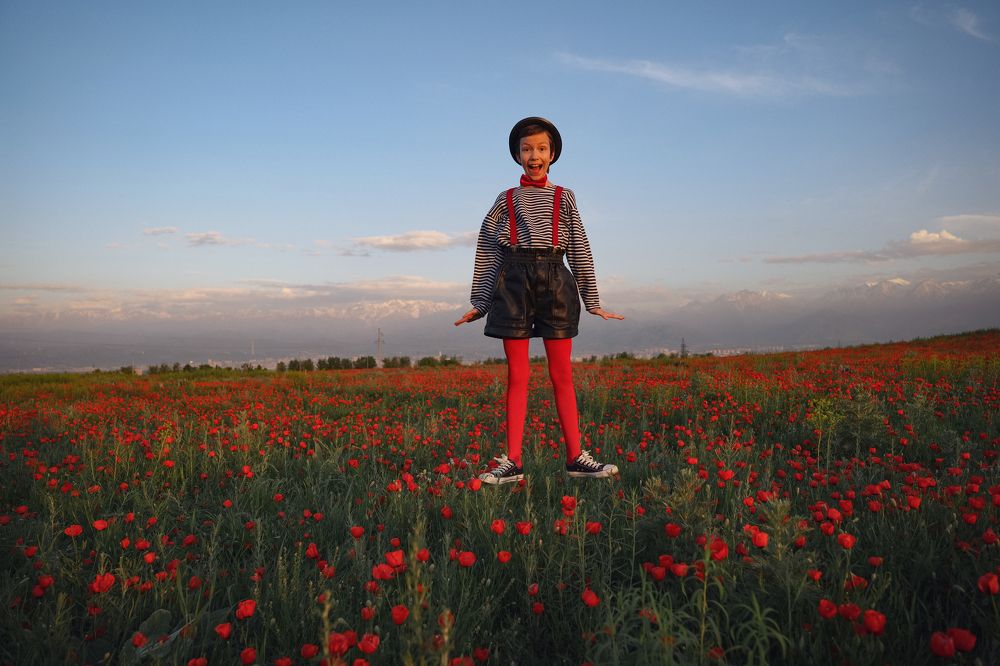 Полёт шмеля