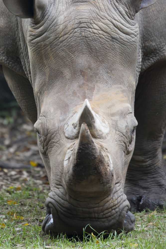 Photograph by HOANG MINH