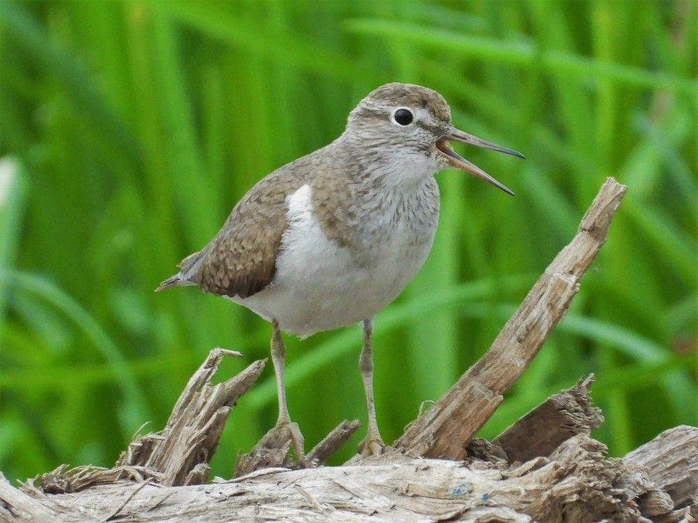 Photograph by Владимир Джерихов