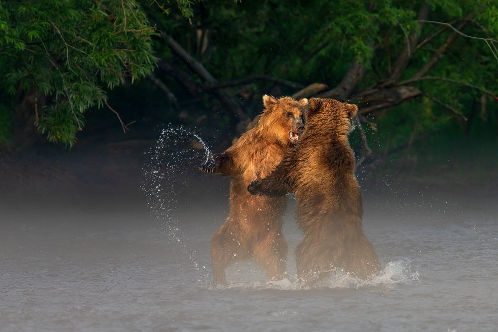 Photograph by Elena Levi