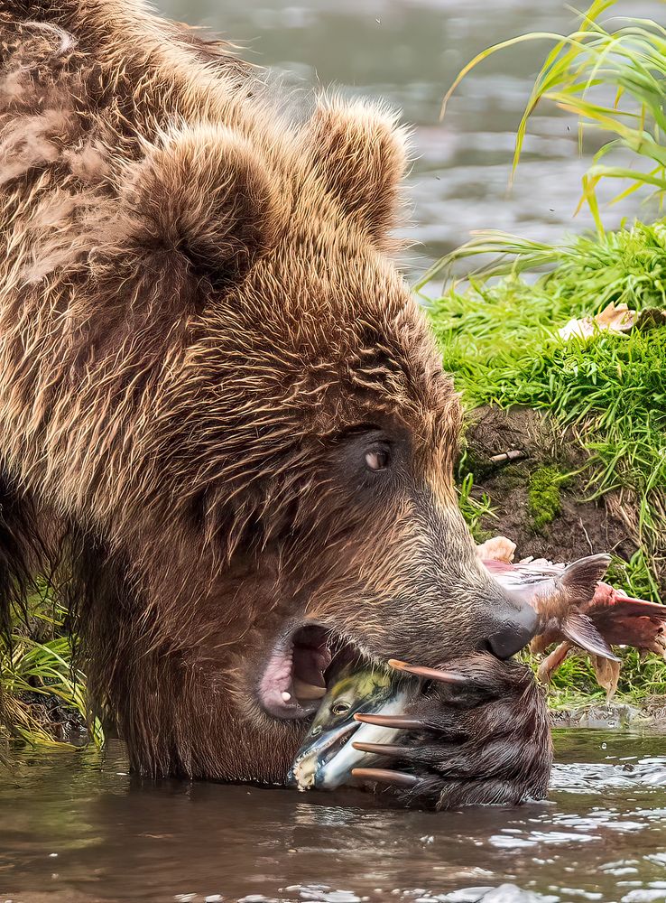 Photograph by Elena Levi