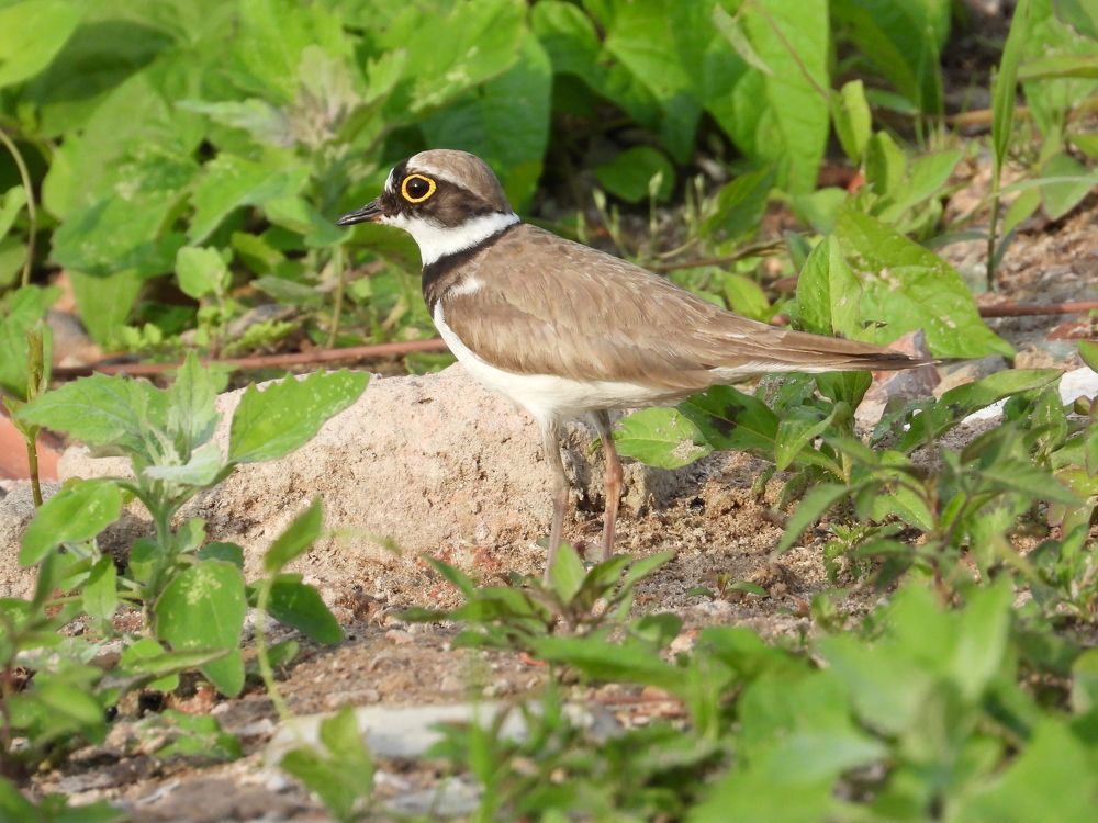 Photograph by Владимир Джерихов