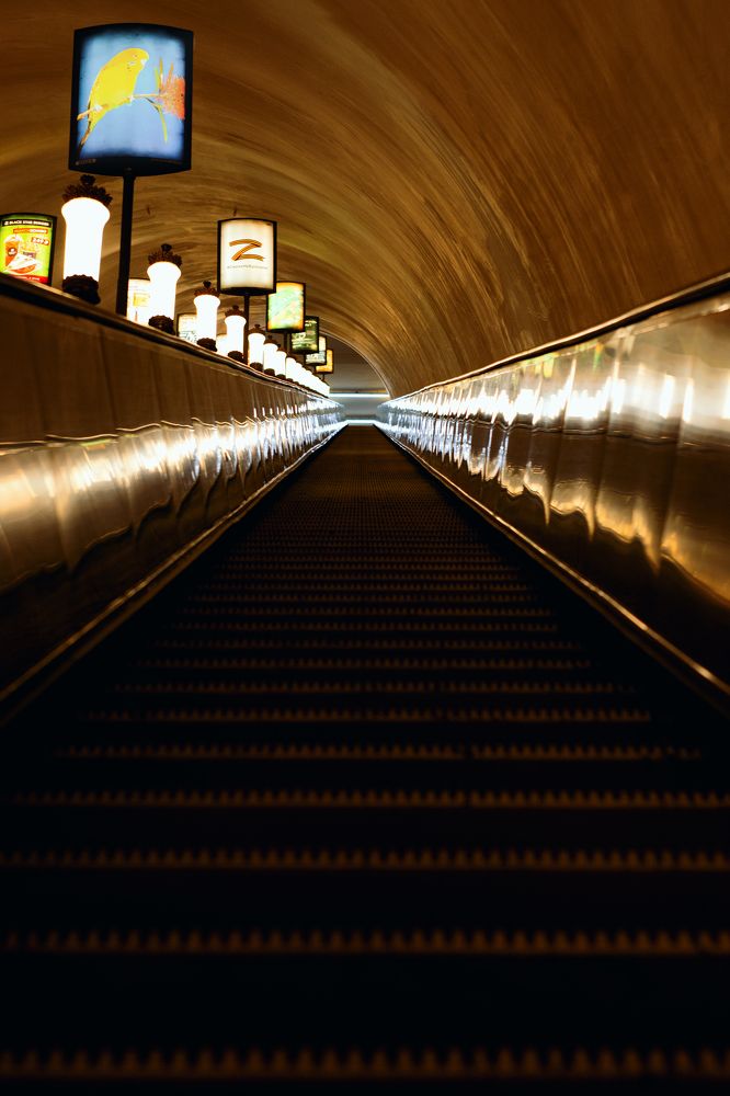 Photograph by Lesya Lambada