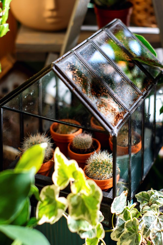 Photograph by Lesya Lambada