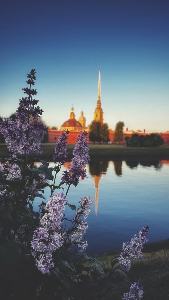 Рассвет