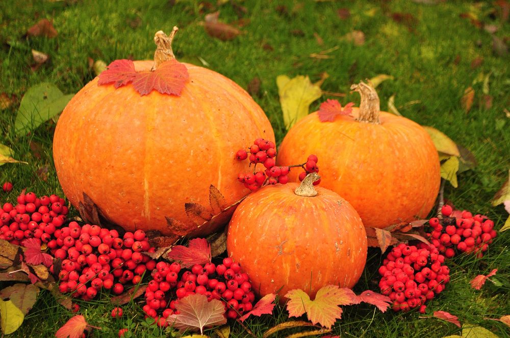 Photograph by Евгения Вакарчук