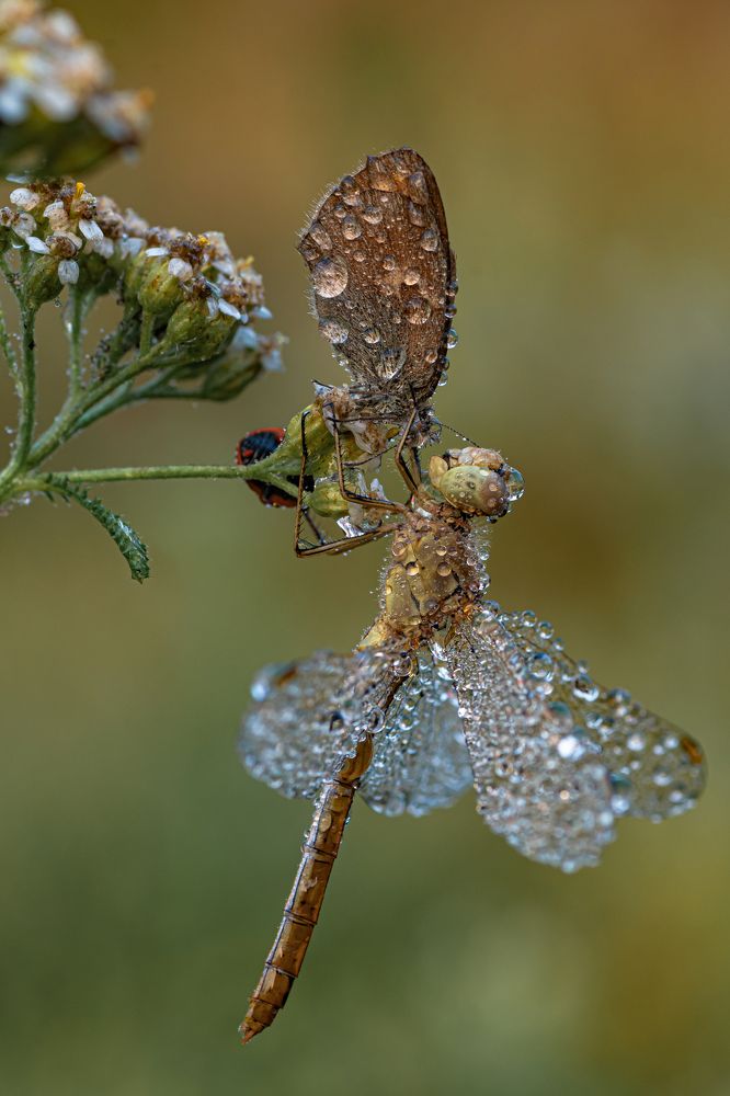 Фотография автора Зайцев Роман