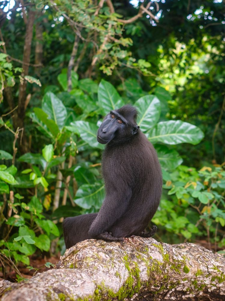 Photograph by Lukas Pokorny