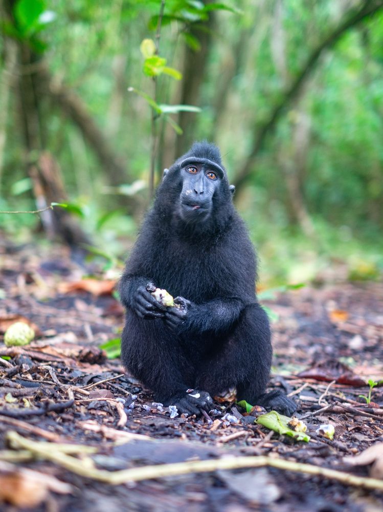 Photograph by Lukas Pokorny