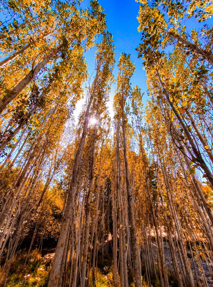 Photograph by Hossein Karimpoor