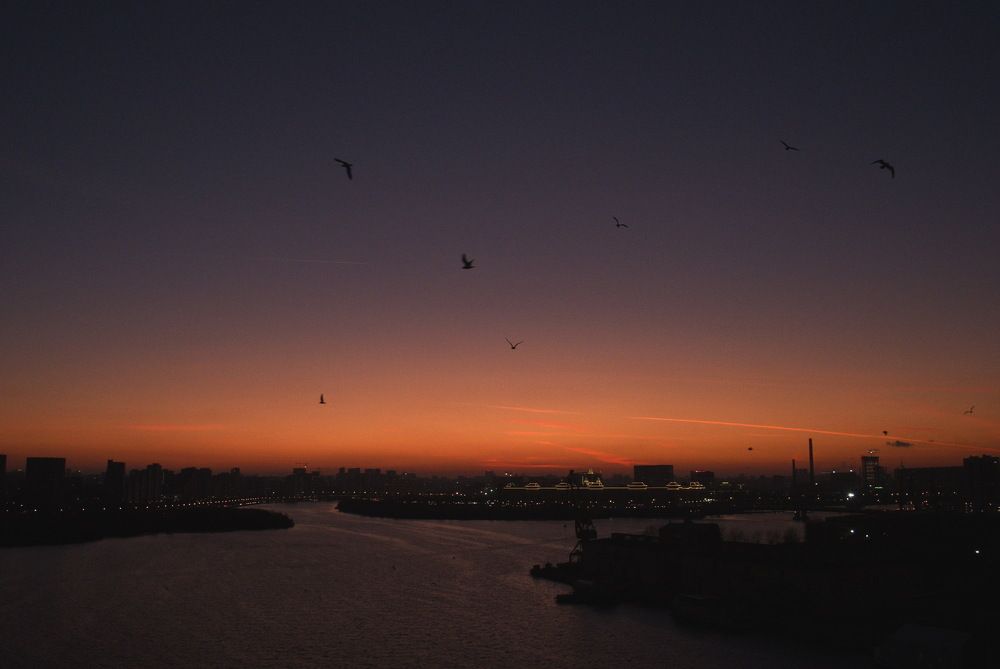 Photograph by Виктор Чернышов