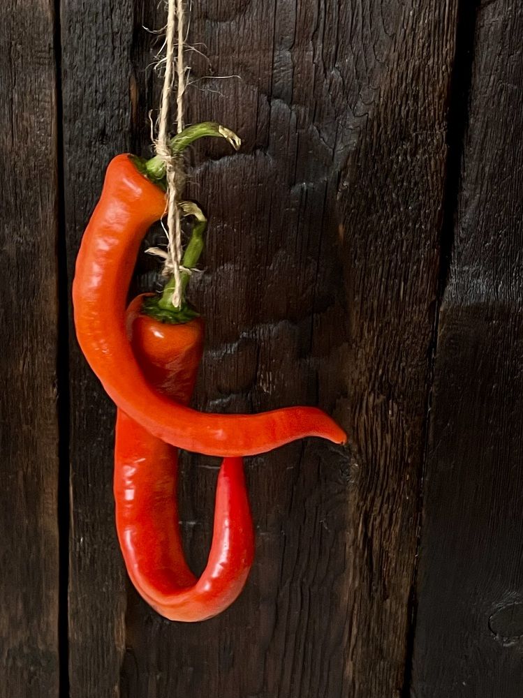 Photograph by ЛИЛИЯ БОБКО