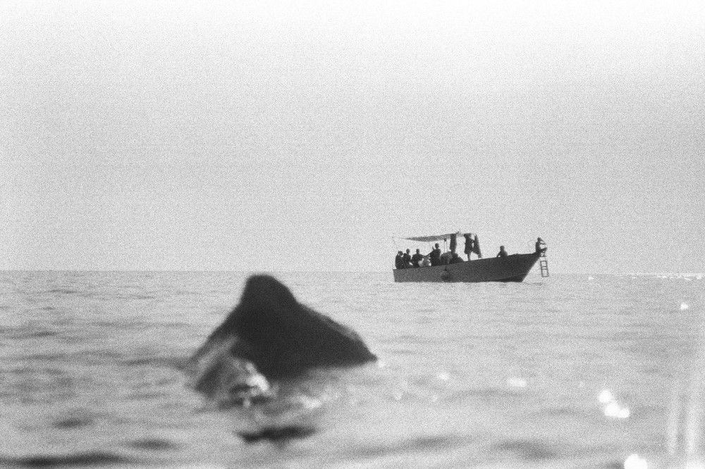 Photograph by Fadi Maruan Piccialli Carty Reyes