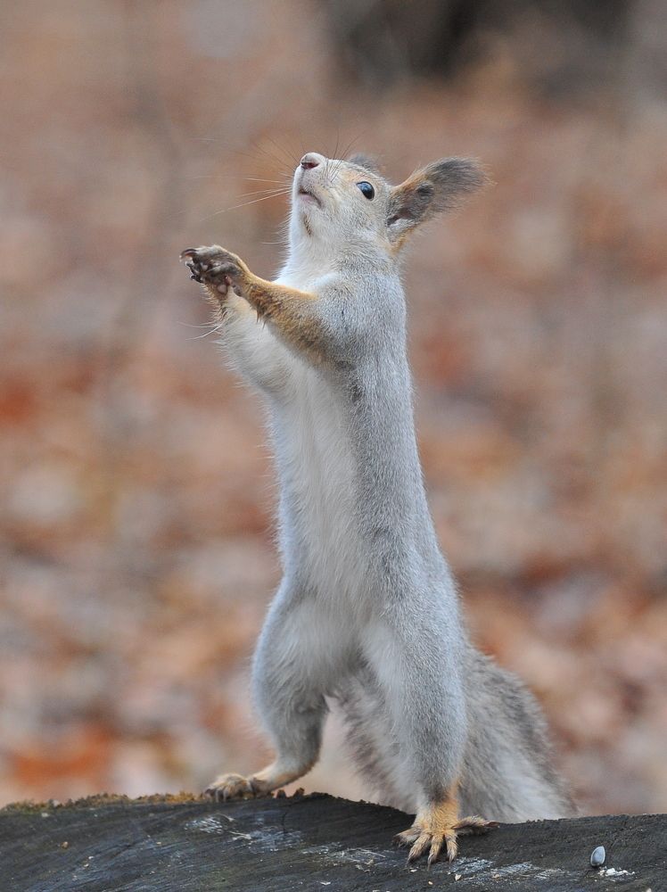 Photograph by Алексей Козлов