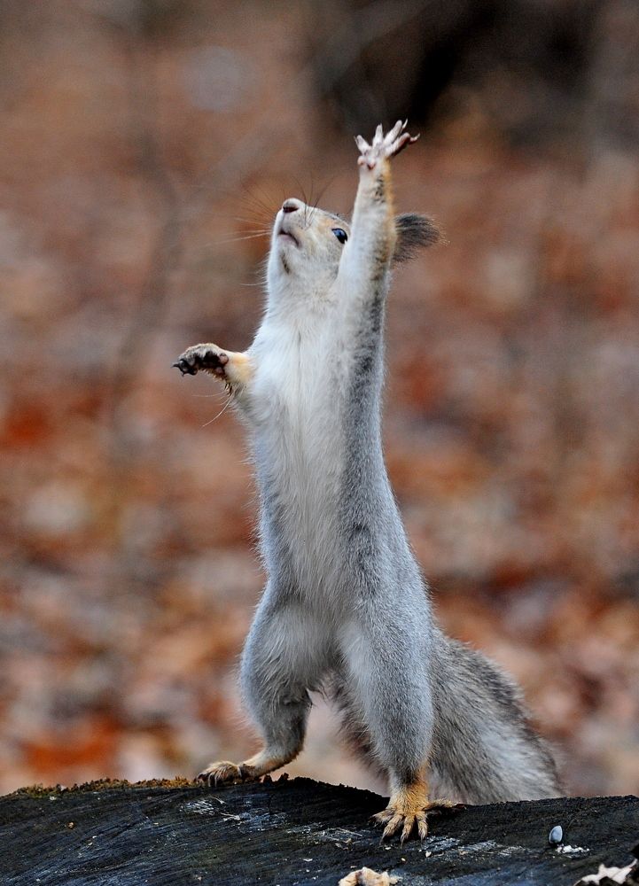 Photograph by Алексей Козлов