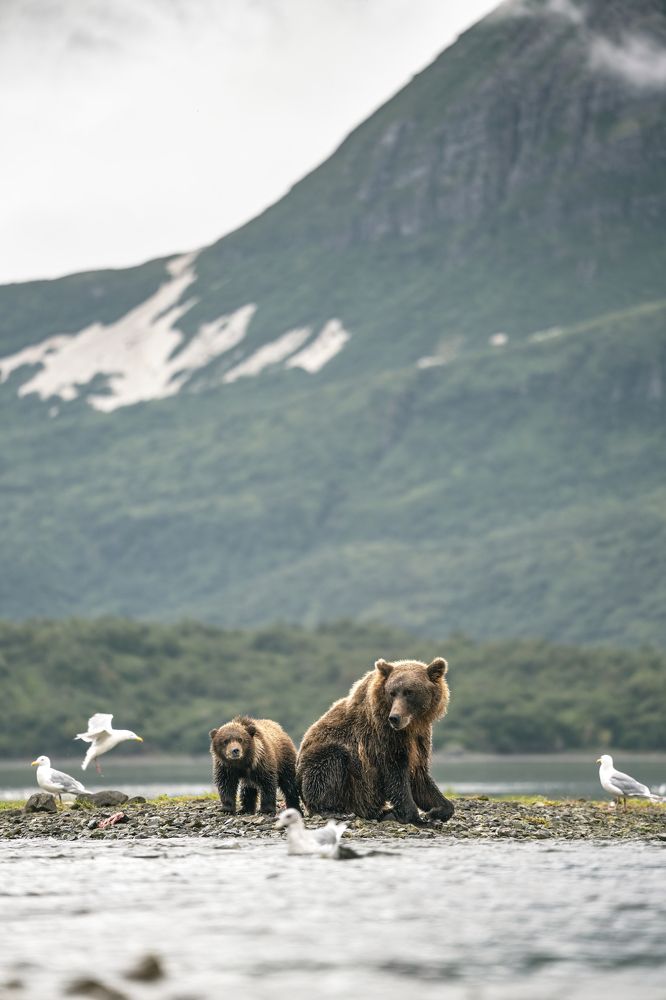 Photograph by Merche Llobera