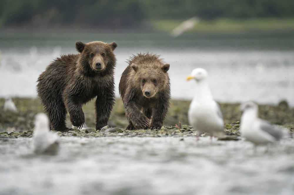 Photograph by Merche Llobera