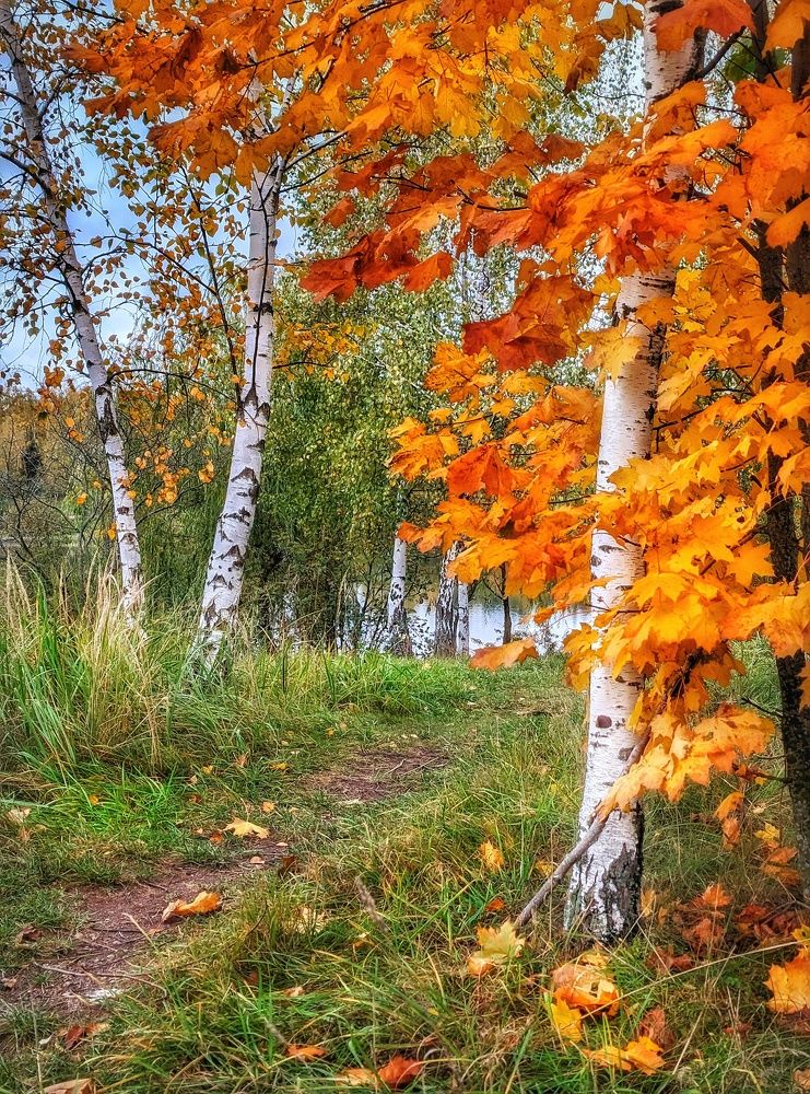 Photograph by Владимир Шаруба