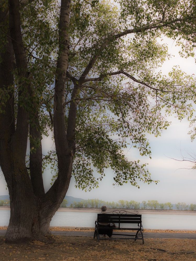 Photograph by Дмитрий Волков