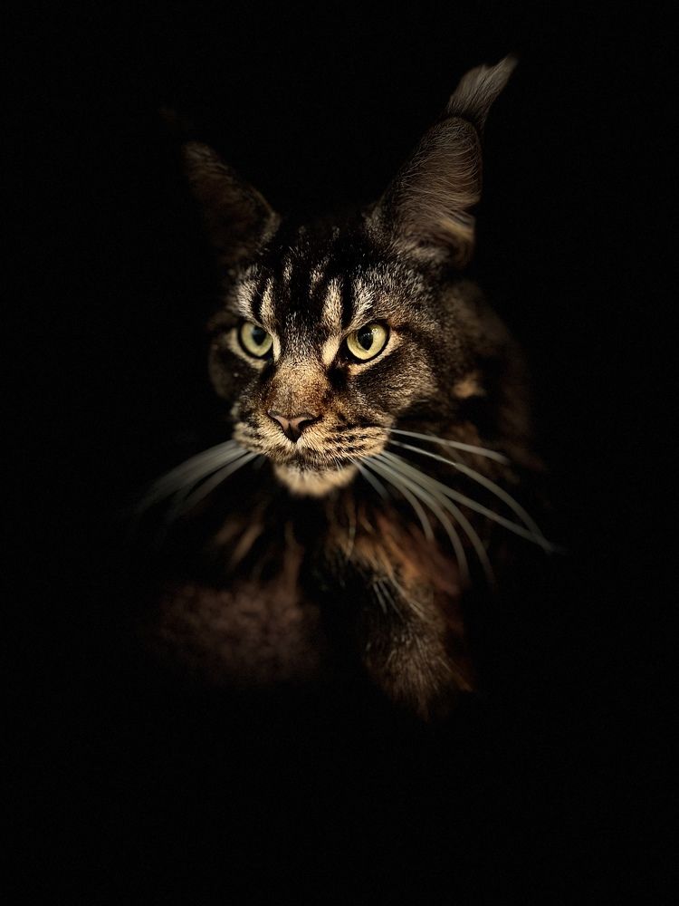 Photograph by Алена Жирова