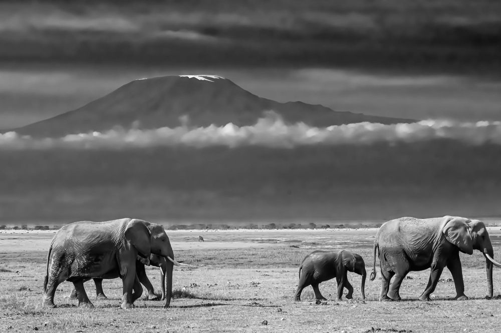 Photograph by Dipanjan Ray