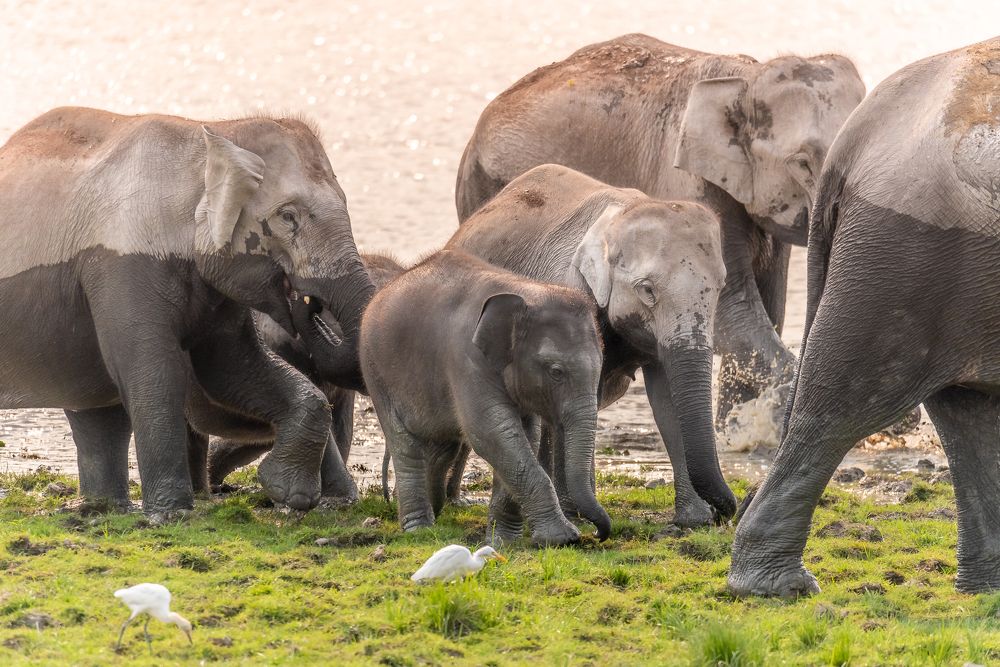 Photograph by Abhijeet Kumar Banerjee