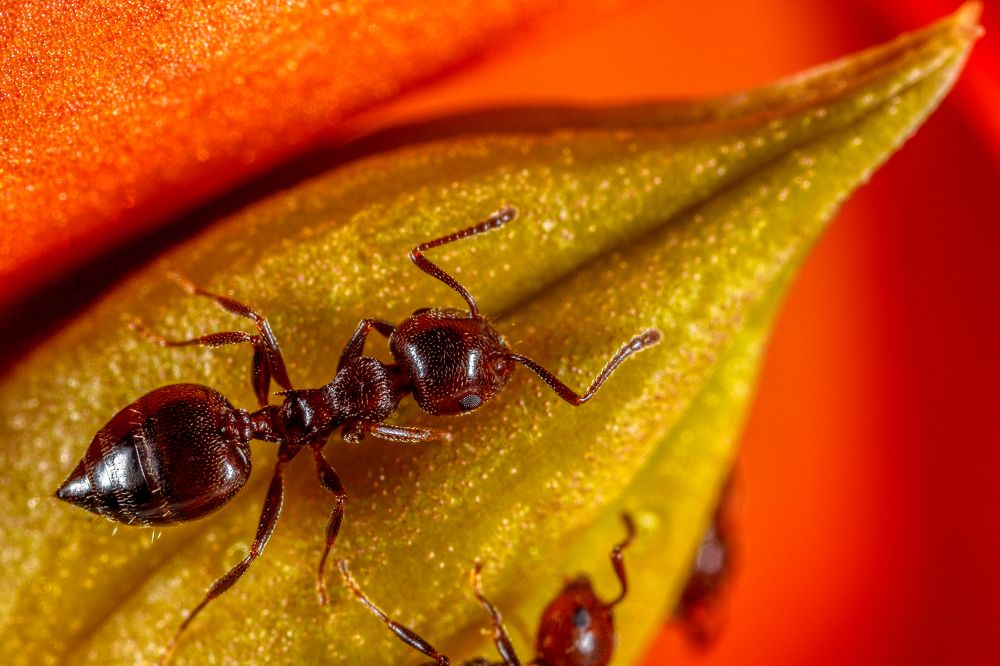 Фотография автора Vasileios Karapanagiotidis